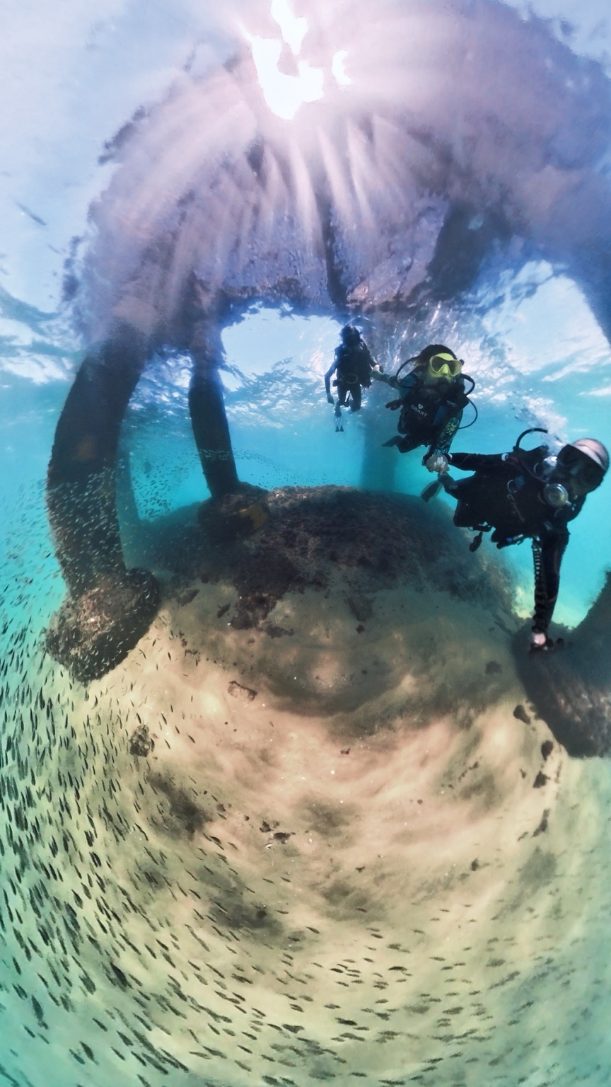 Mergulho Divemaster